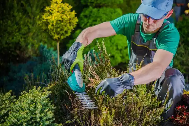 landscaping services Britton